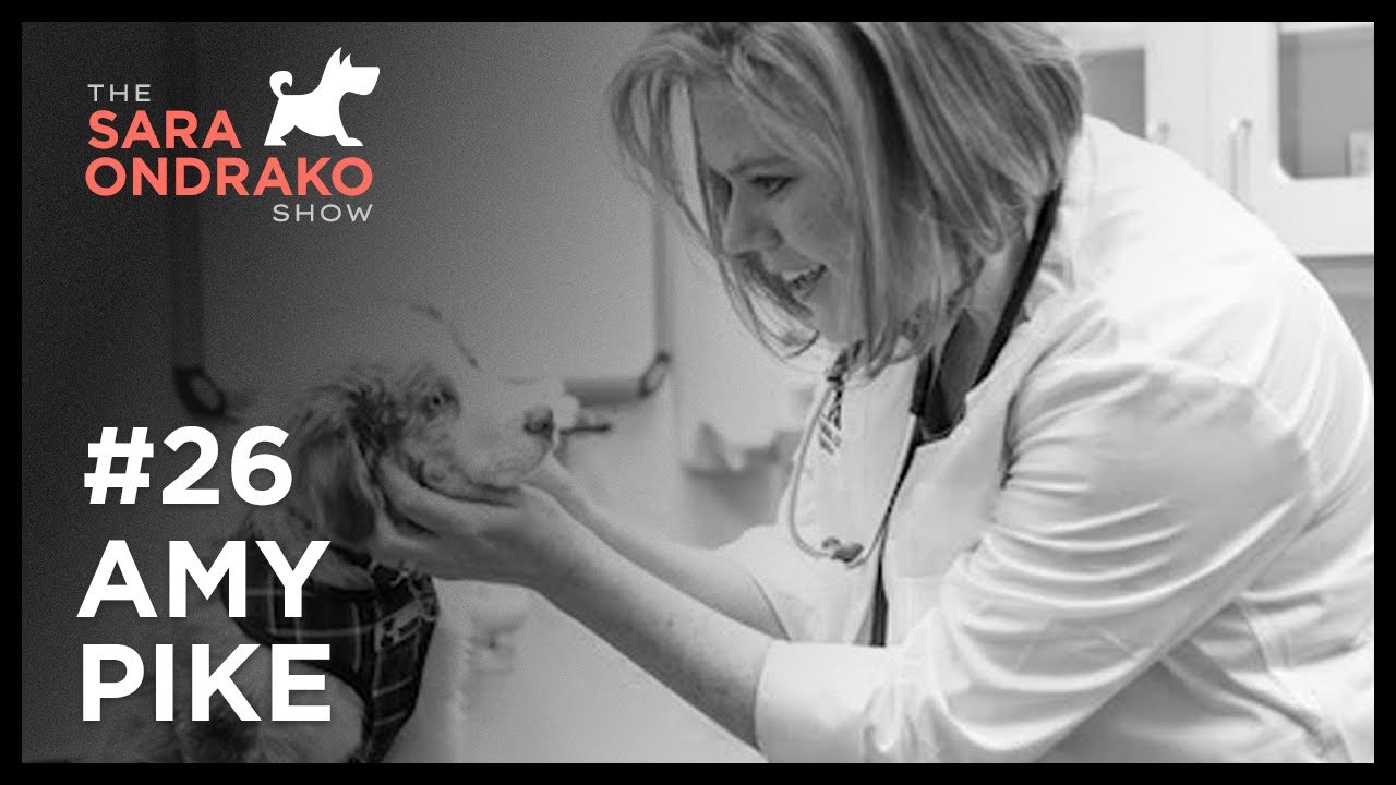 Dog Training Regulations & Collaborations with Dr. Amy Pike