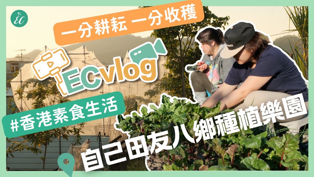 【📷ECvlog】食到源頭｜八郷有機農莊🍀｜每周耕耘勁多收獲｜香港