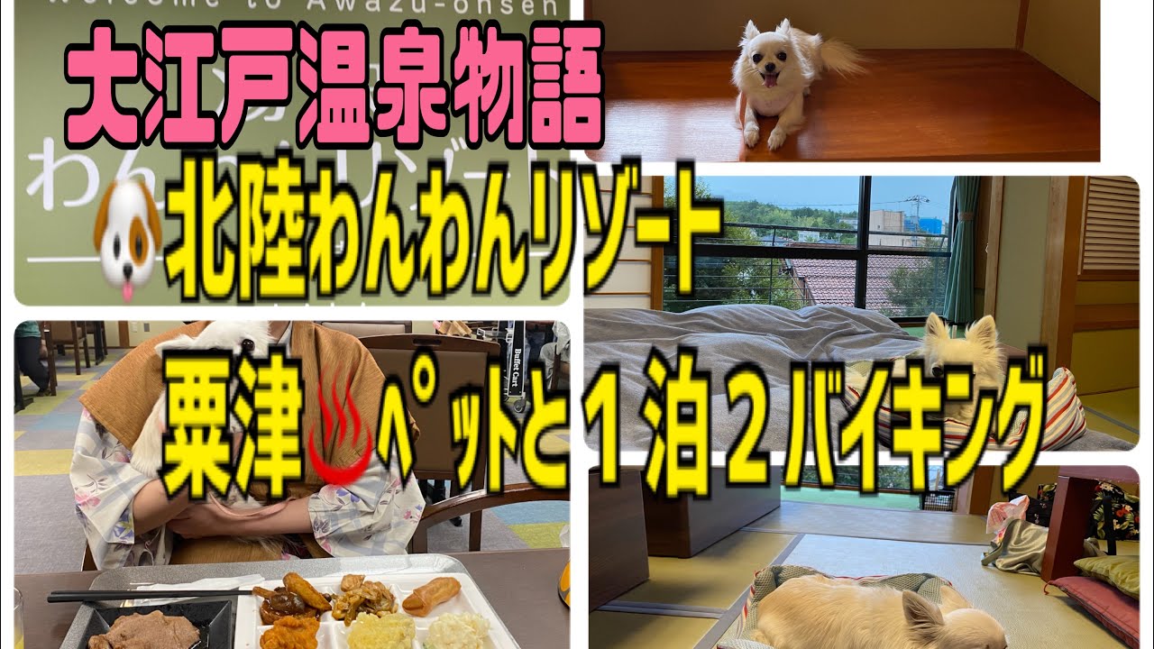 ♨️🐶🏨ﾊﾞｲｷﾝｸﾞもﾍﾟｯﾄ同伴できる最強ペット宿！大江戸温泉物語わんわんリゾート粟津♨️１泊２バイキング全メニュー紹介