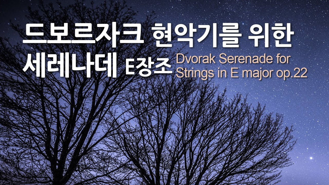 드보르자크 현악기를 위한 세레나데 E장조 op.22 | Dvorak Serenade for Strings in E major op.22 | 바이에른 방송 교향악단