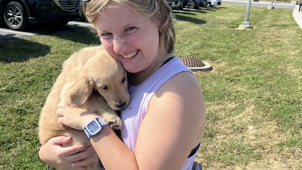 S1 E1: Let's Get a Puppy