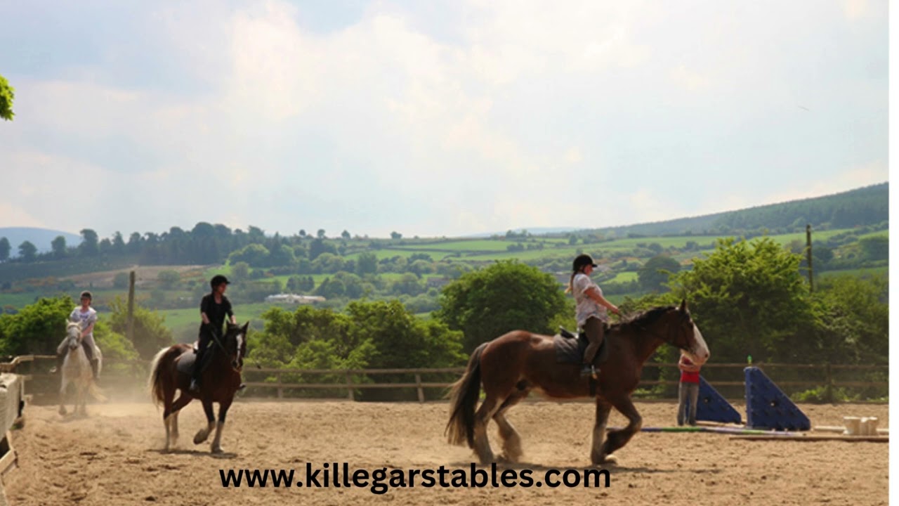 Killegar Horse Riding School