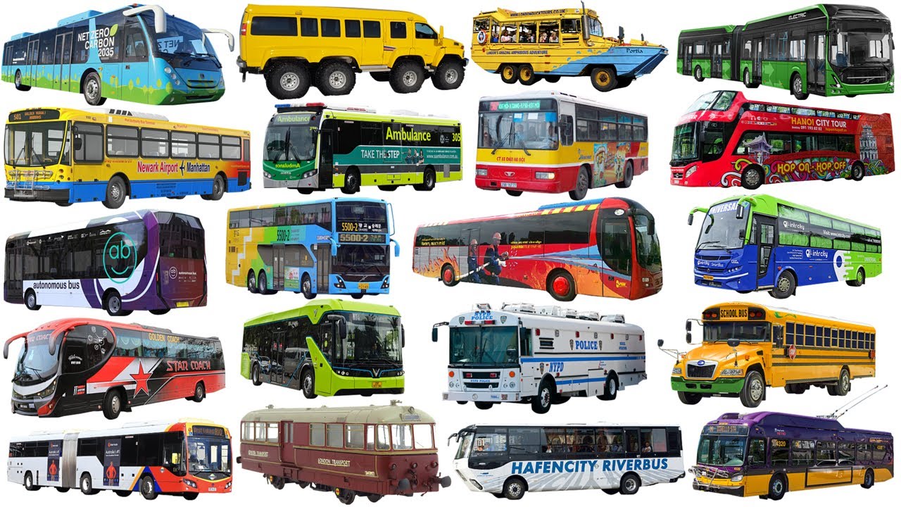 BUS NAME Collection - Shool bus, City bus, Police bus, Coach | Most Unique Buses in the World