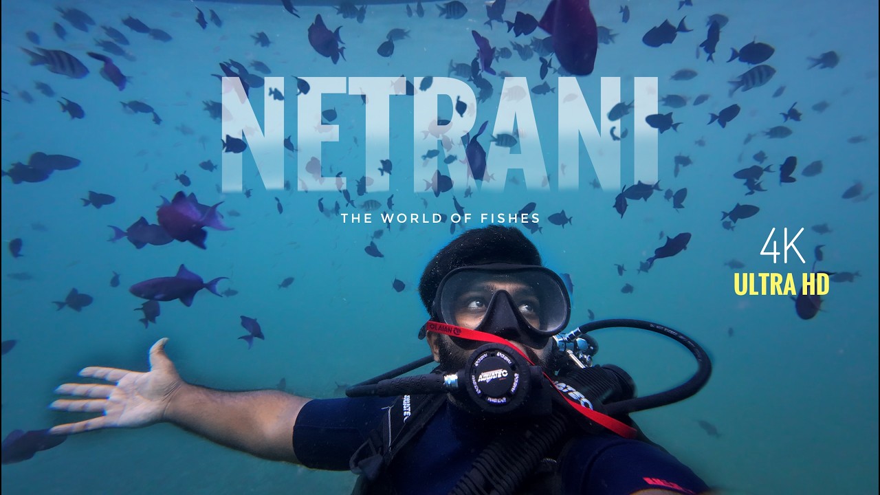BACK TO THE DEEP 🫧🤿 | SCUBA DIVE AT NETRANI ISLAND | MURUDESHWARA | KARNATAKA | INDIA