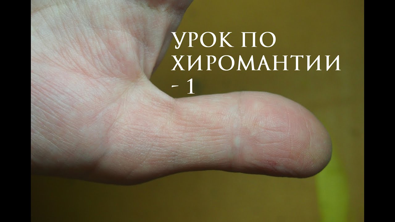 1. хиромантия. большой палец
