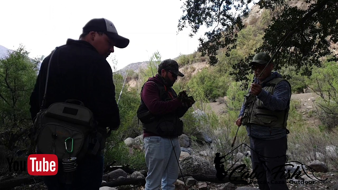 Buscando truchas en el cajon del maipo