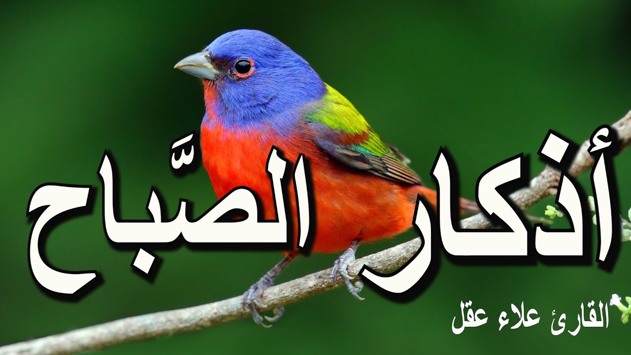 أذكار الصباح - راحة نفسية لا توصف بصوت القارئ علاء عقل | Morning Athkar - Dzkir Pagi