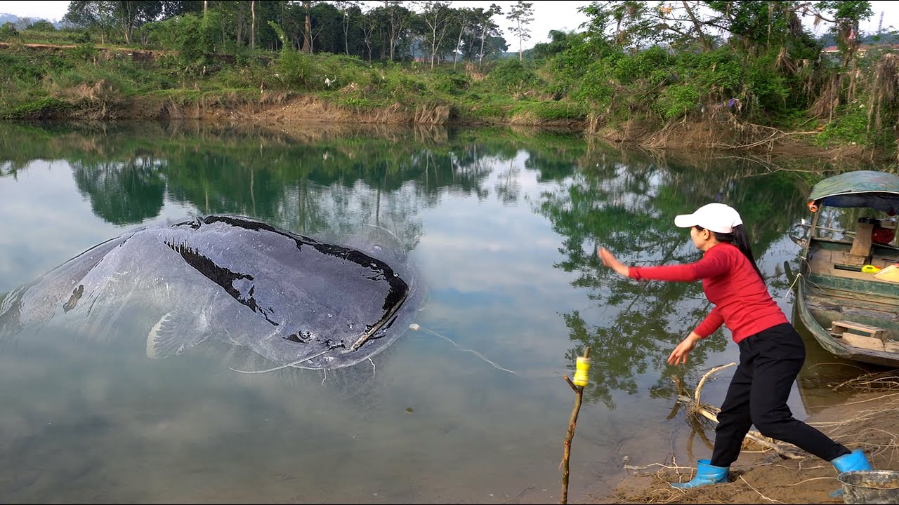 Fishing Skills - Ancient Fishing Techniques - lucky highland girl catches giant fish