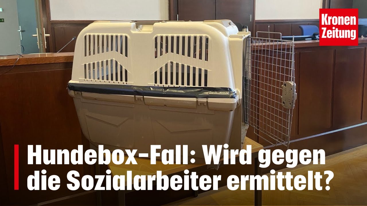 Hundebox-Fall: Wird jetzt gegen die Sozialarbeiter ermittelt? | krone.tv NEWS