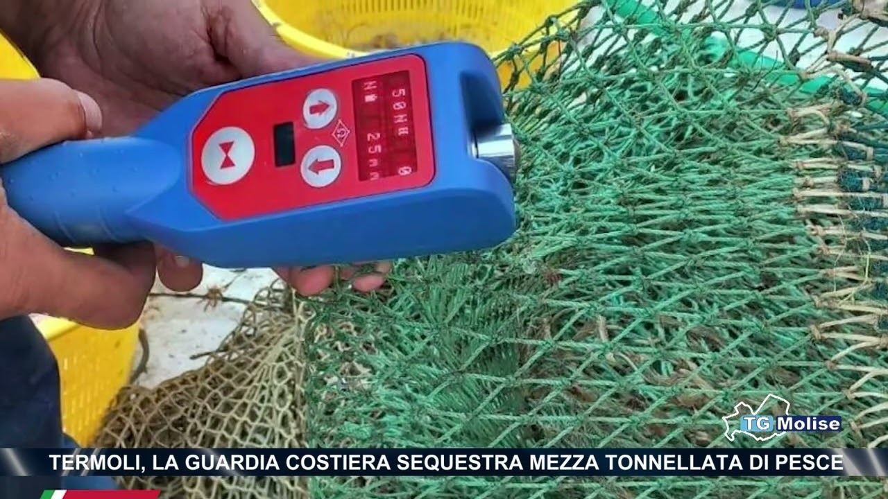 Termoli, la Guardia Costiera sequestra mezza tonnellata di pesce