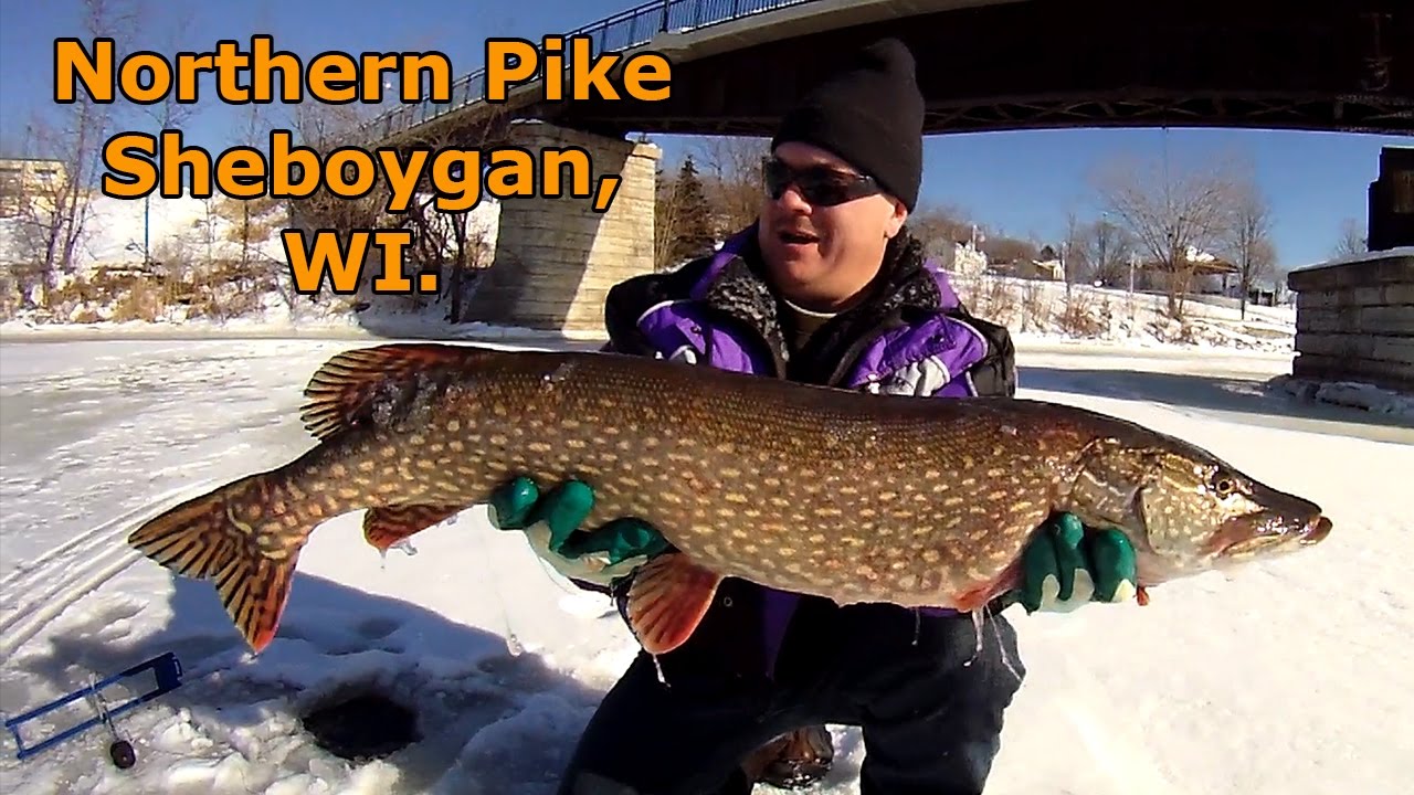Sheboygan Fishing Guy. Sheboygan River, December 22, 2016