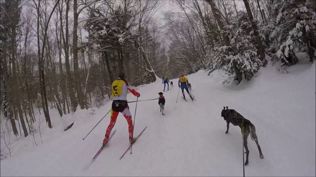 2017 IFSS World Championships Relay Race, first leg 1 dog skijor