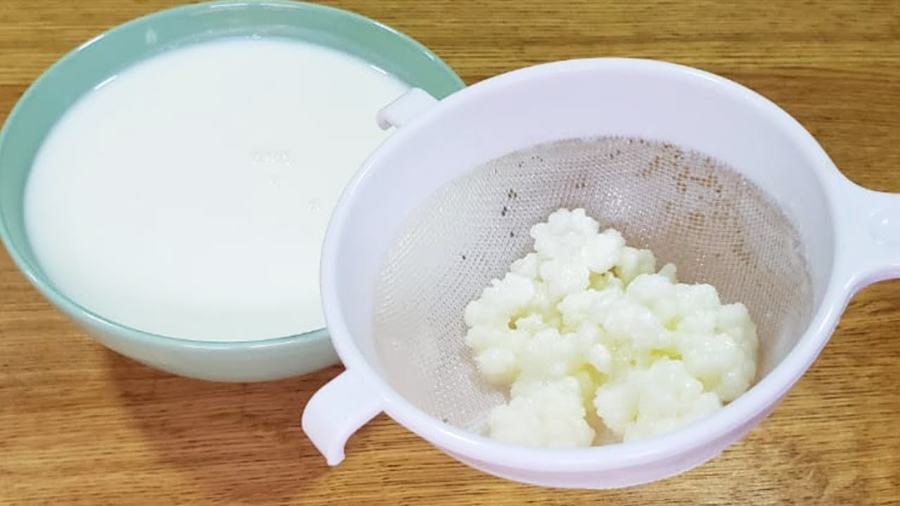 Cómo Hacer KÉFIR CORRECTAMENTE para el Máximo de Beneficios (Búlgaros de Leche) - Receta y Consejos