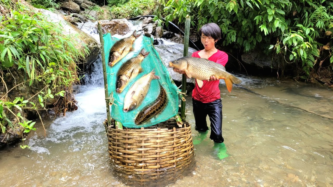 Lam used a net to make a fish trap in the stream and luckily caught many big fish. | wandering boy