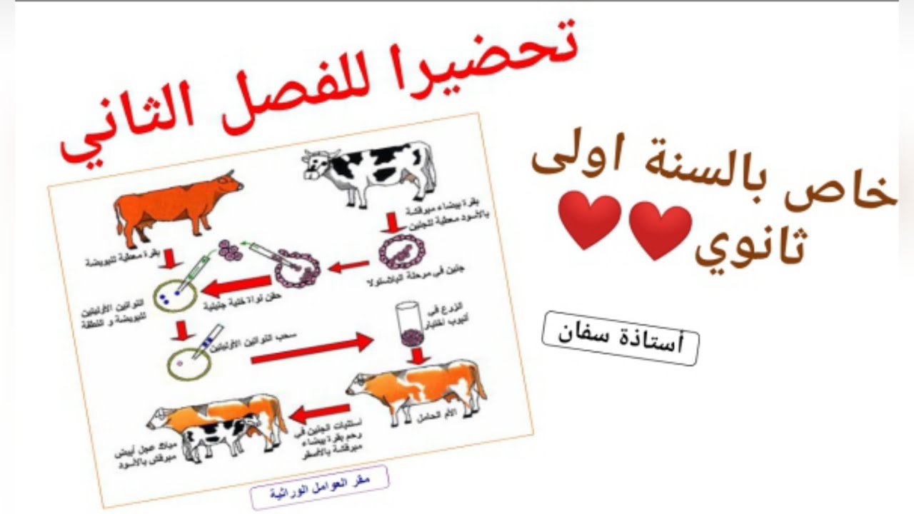 افضل شرح لوحدة تاثير العوامل الداخلية على انتاج الكتلة الحيوية✌ الجزء الاول💪