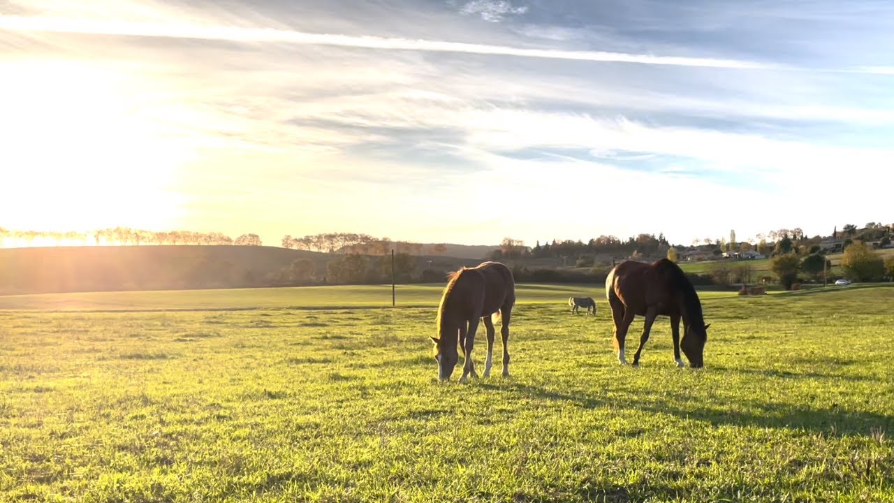 Spend a few days with me