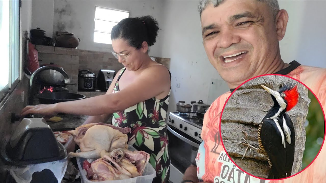 ESTAMOS VENDENDO AS GALINHAS, VEJA O PORQUE. 