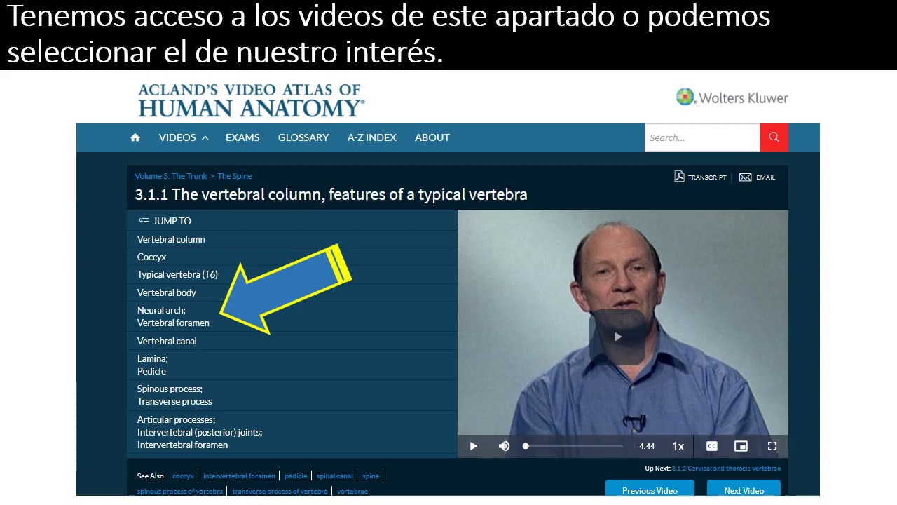 Acland´s Video Atlas of Human Anatomy: Guía básica