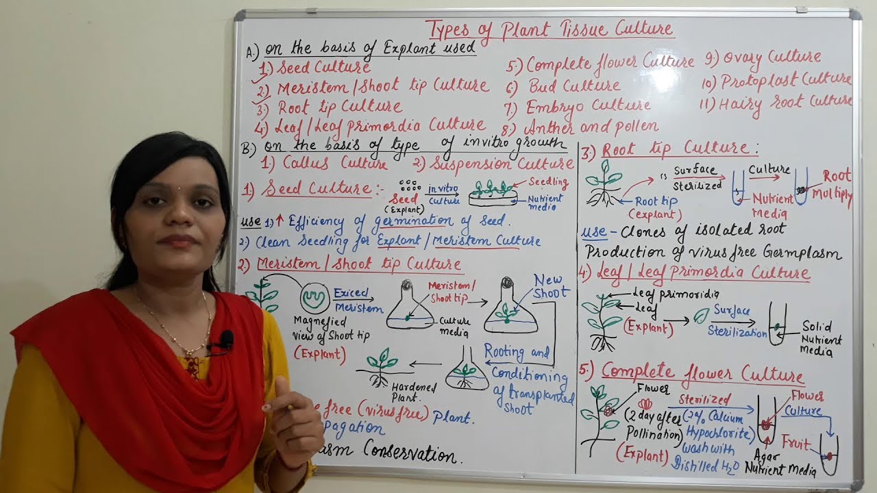 Class (38) = Plant Tissue Culture (Part 04) | Different Types of Plant Tissue Culture (Part 01)