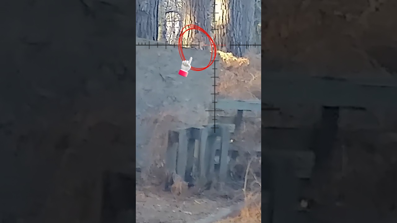 Spotted the head…took the shot 💥 | RSnipeR | Novritsch ssg11 