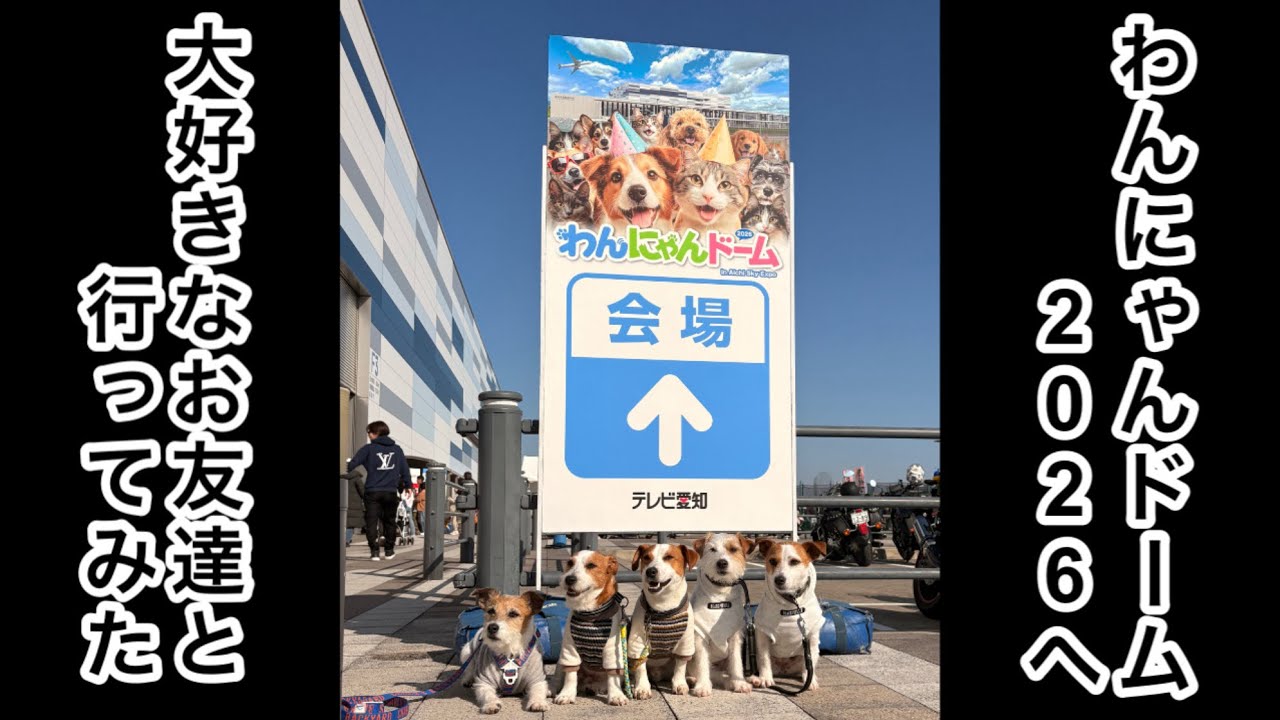【わんにゃんドーム2026】大好きなお友達とわんこのイベントへ行ってきた
