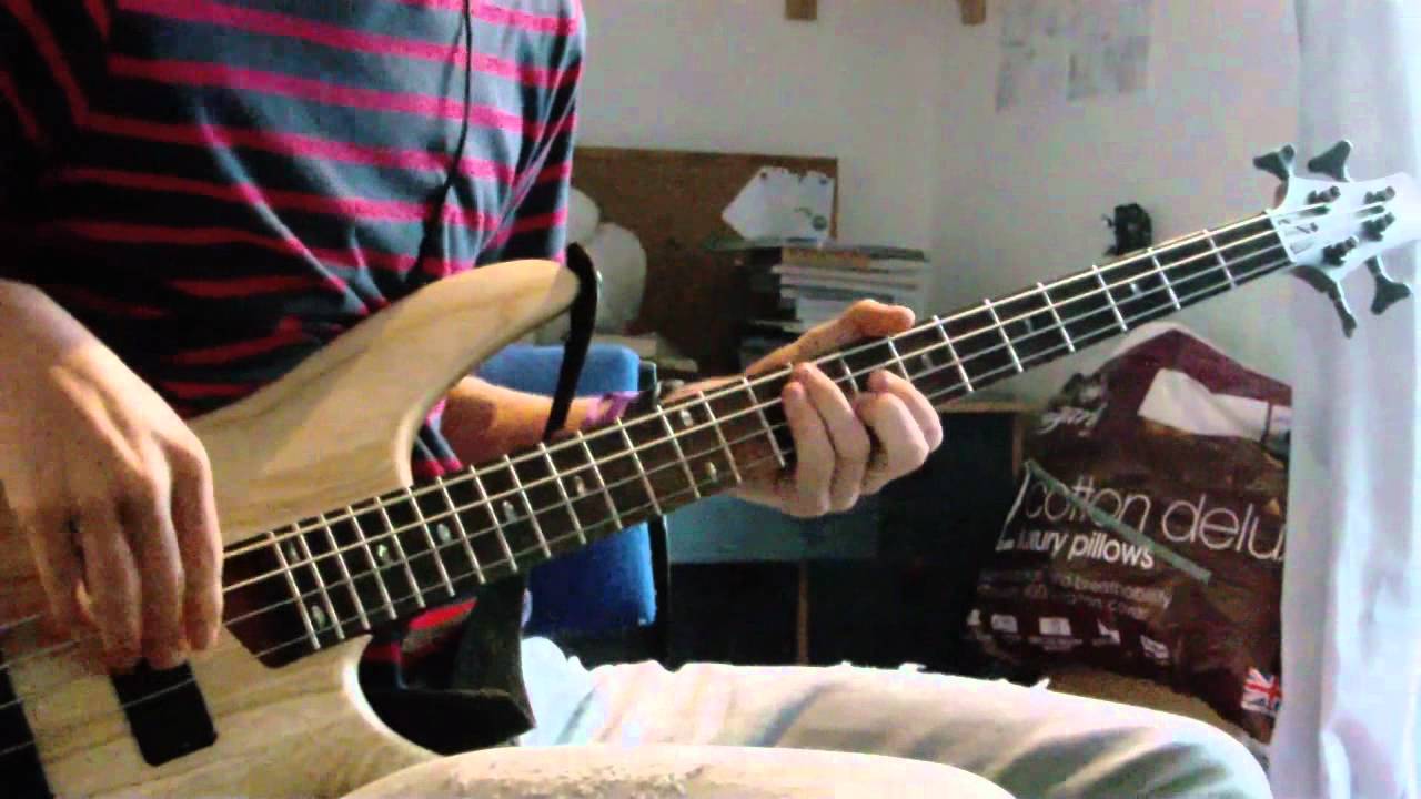 Red Hot Chili Peppers - This Velvet Glove [Bass Cover]