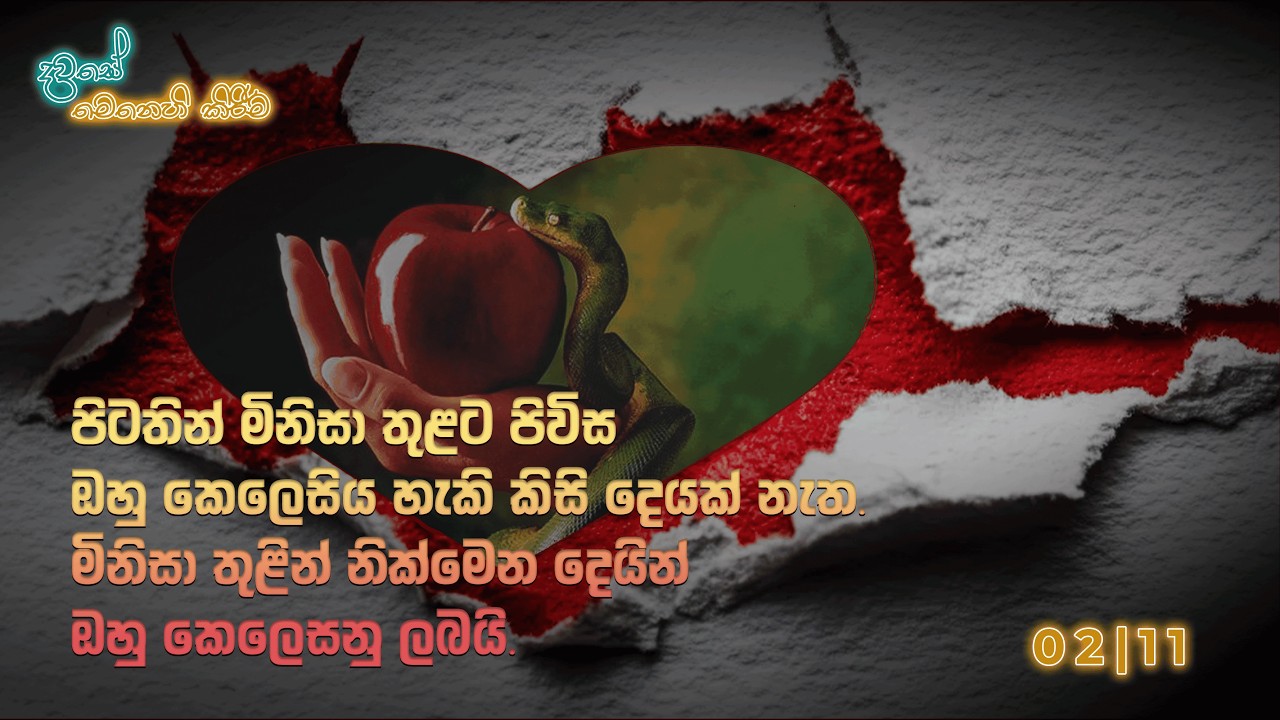 දවසේ මෙනෙහි කිරීම 2026 පෙබරවාරි 11