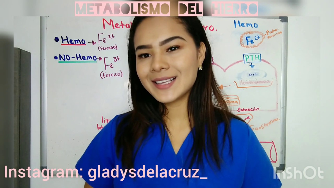 Metabolismo del hierro Fe(absorción, transporte, almacenamiento de hierro) en 6 minutos super fácil!