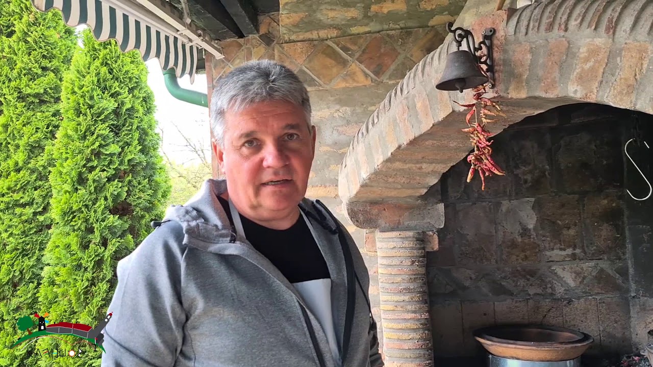 Lesandar sa vama - juneći ribić pod sačem