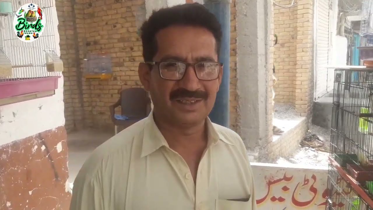Abdul Azeez Panezai Ka Birds Shop | Quetta Bird Market Visit | Birds Keeping Ideas