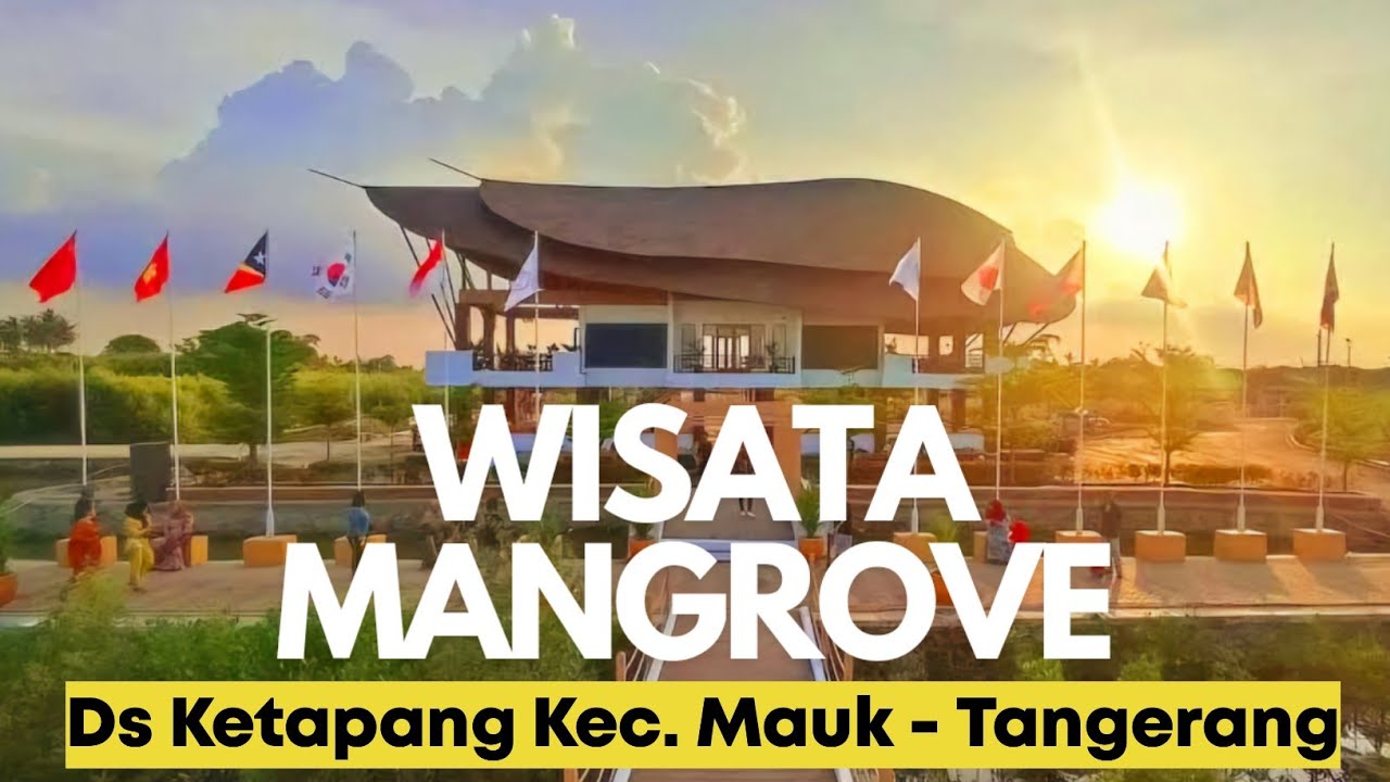 MANGROVE KETAPANG MAUK | TANGERANG BANTEN
