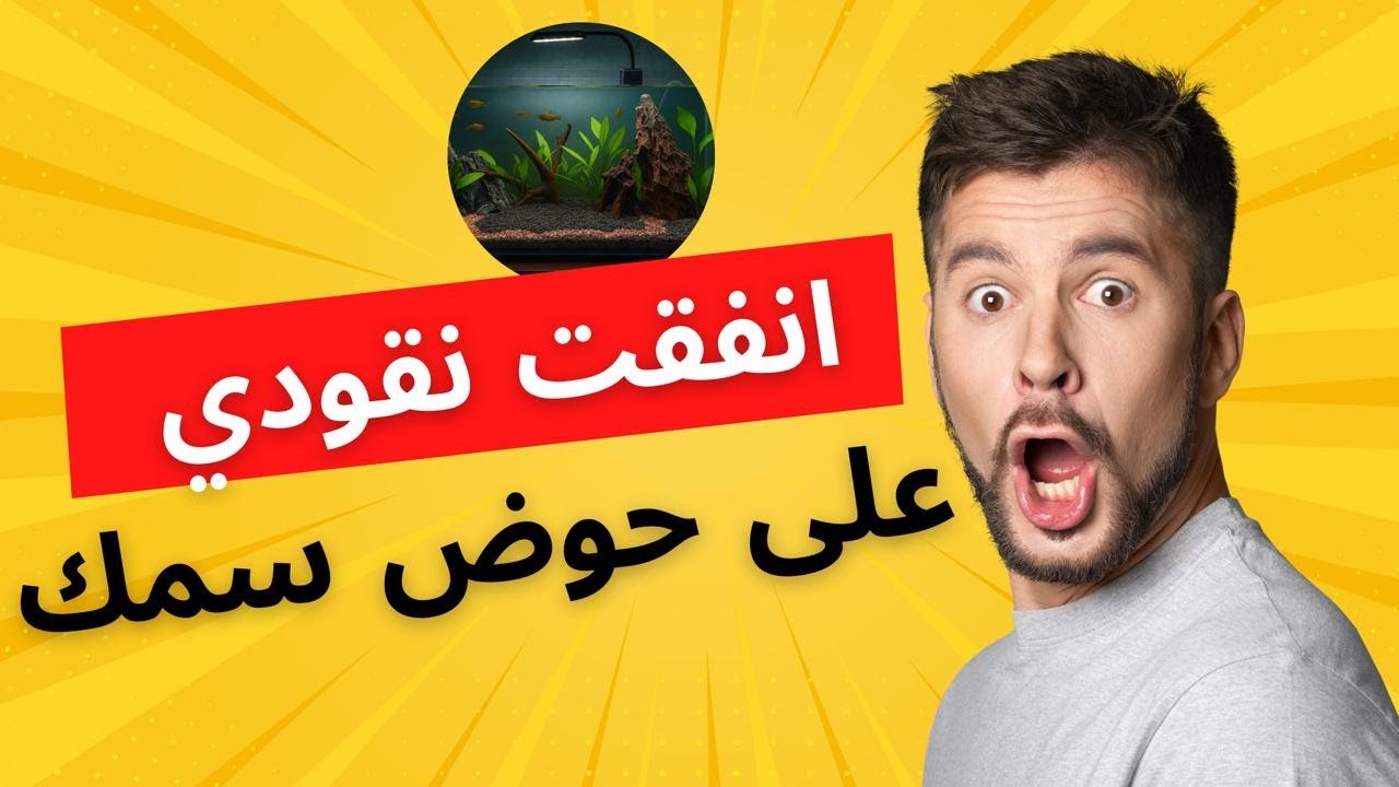 دفعت 200$ على حوض واحد فقط ! شوفوا النتيجة الصادمة 😱