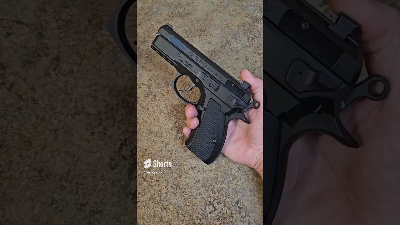 CZ P P01 new budget g10 grips