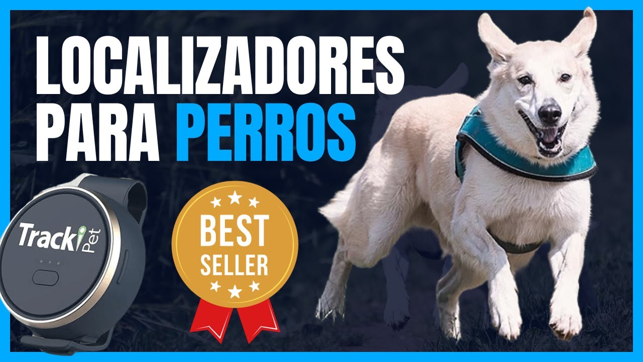 TOP 5 MEJORES LOCALIZADORES para PERROS 🐶 ¡Nunca pierdas de vista a tu mejor amigo!