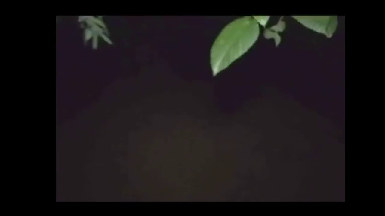 Expedientes insólitos