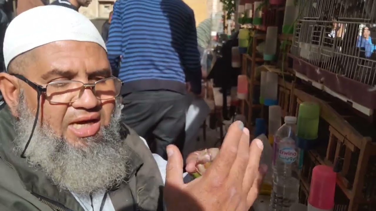 أبو حبيبة وتوضيح مستوى الطيور من قلب سوق الجمعة 