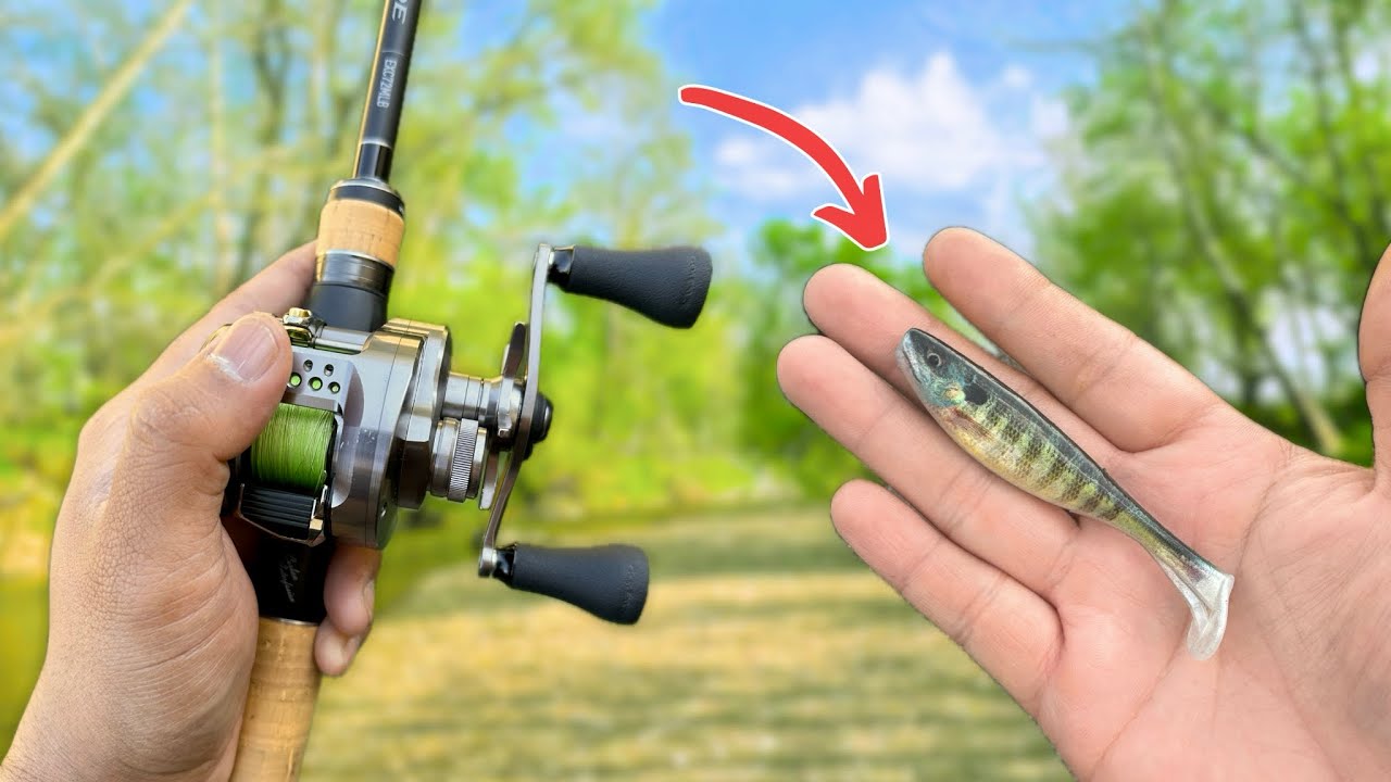 Fall BFS Swimbait Fishing ( i call it fishing )