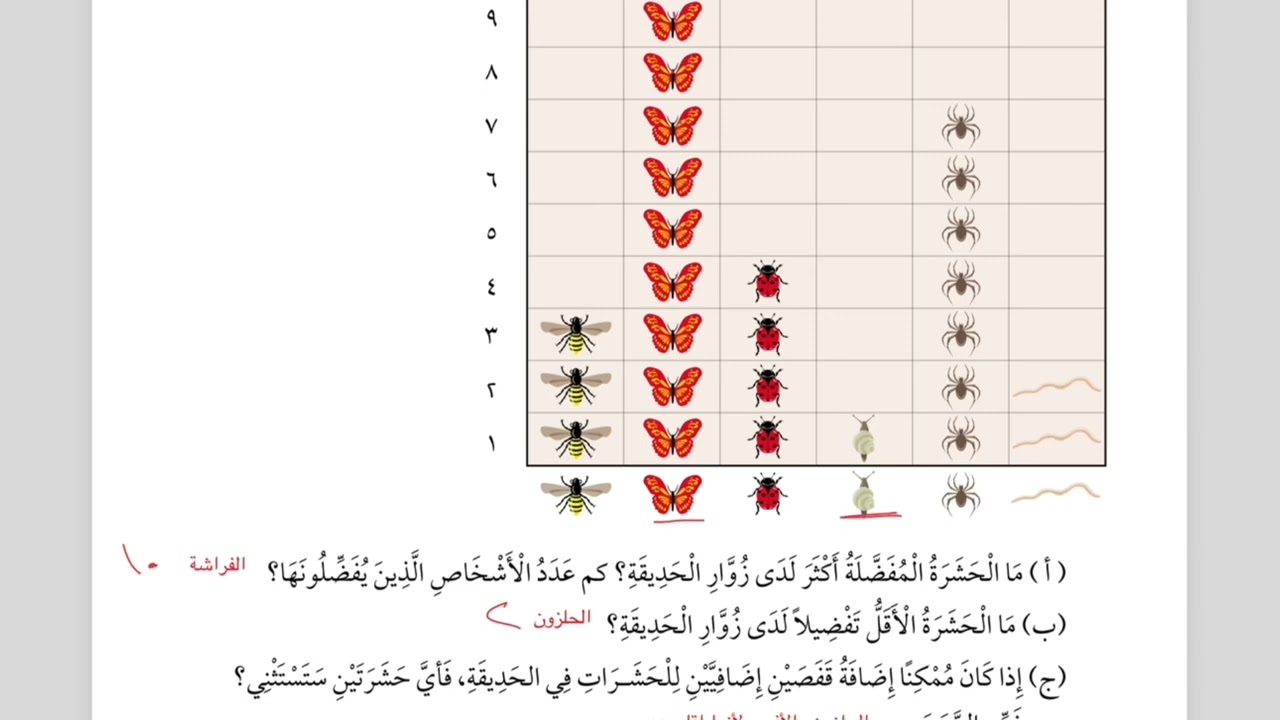 الصف الثالث درس ( التمثيل بالمصورات ) مادة الرياضيات المنهاج العماني الفصل الثاني
