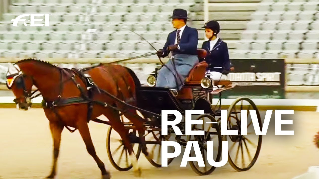 RE-LIVE | Dressage Day 2 | Pau (FRA) | FEI Driving World Championship 2020 for Singles