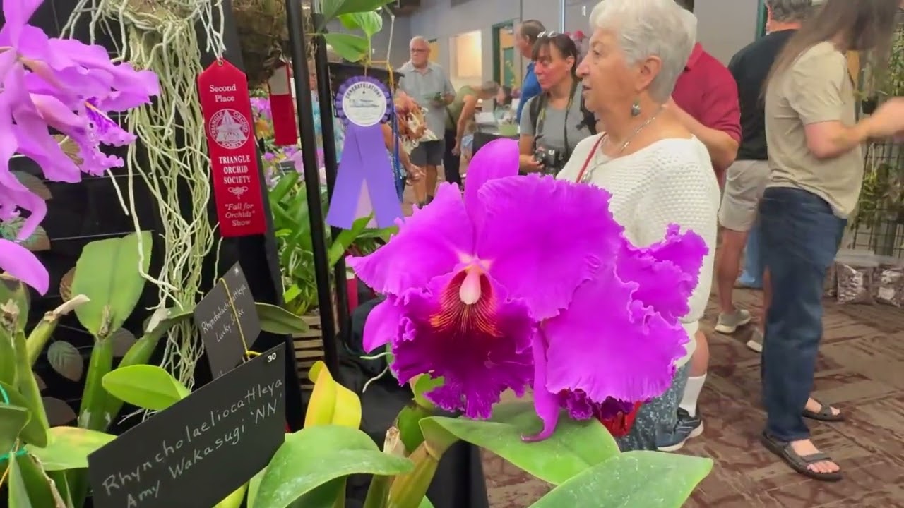 2025 Fall For Orchids Show | September 2025