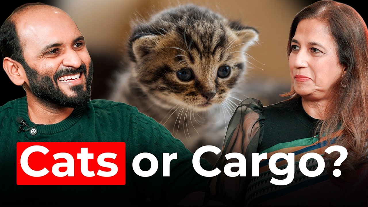 Cats or Cargo? How Heavy Project Cargo Excites Me & Cats Keep Me Sane