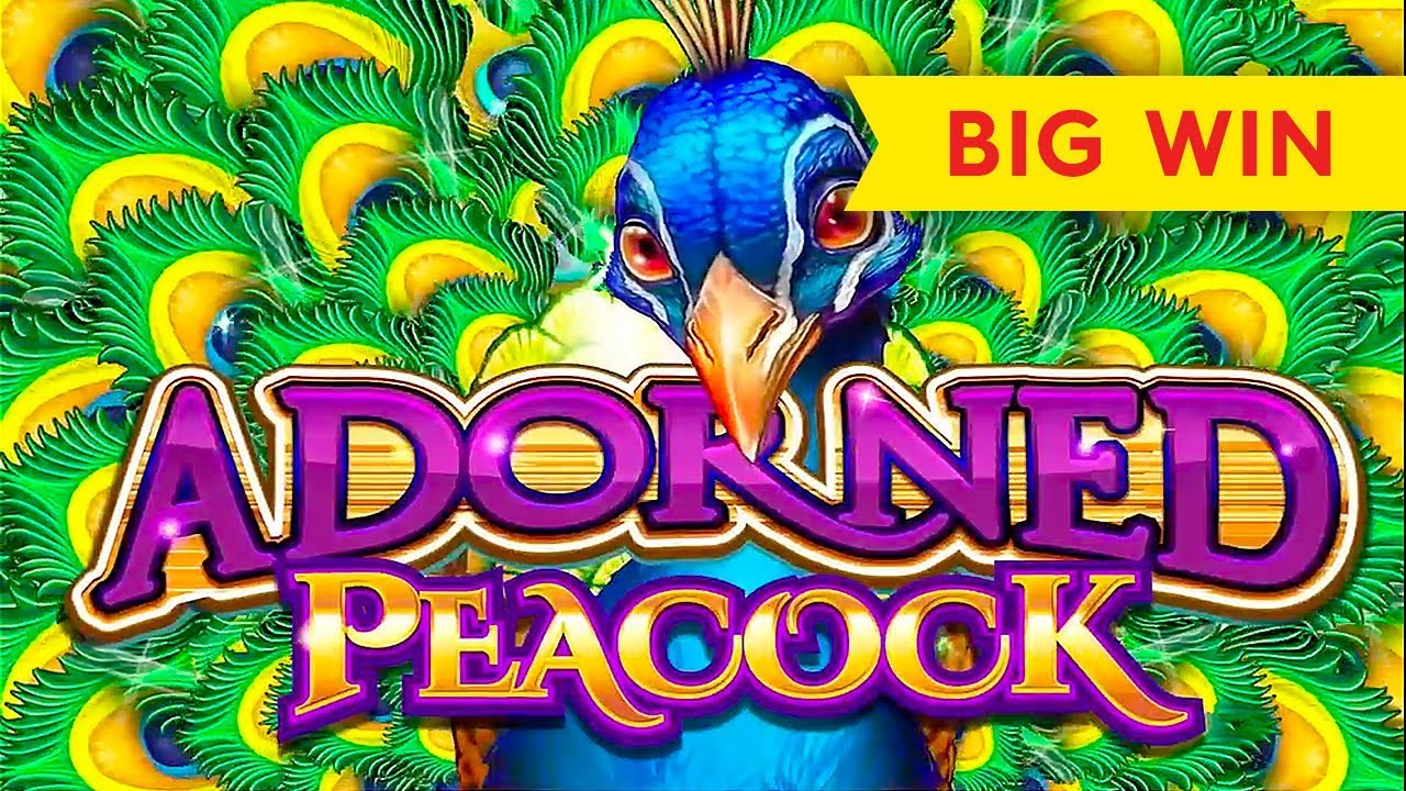 Adorned Peacock Slot - BIG WIN SESSION, NICE!