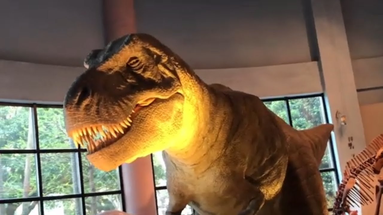 Dinosaurs in National Museum of Natural Science Taiwan - 國立自然科學博物館