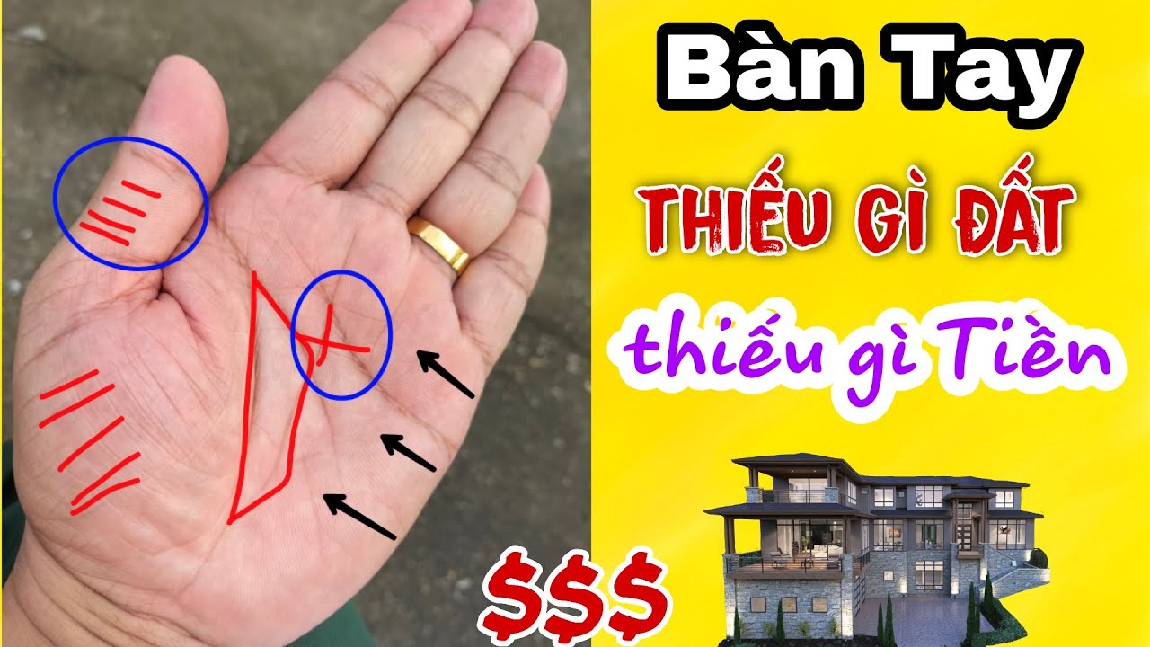 Nhìn Bàn Tay Này Biết Ngay Số Không Thiếu Tiền Thiếu Đất || Zalo 0343631729
