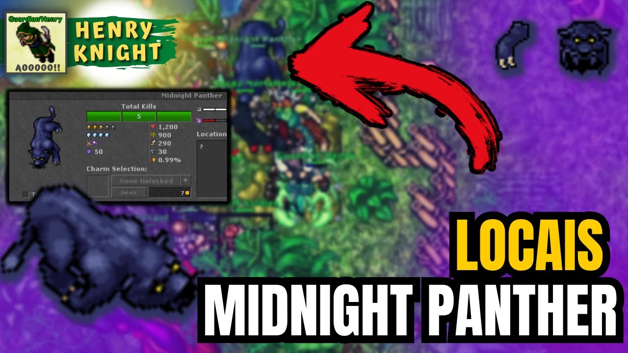 TIBIA - TODAS as LOCALIZAÇÕES da MIDNIGHT PANTHER, Bestiário RARO de 50 pontos