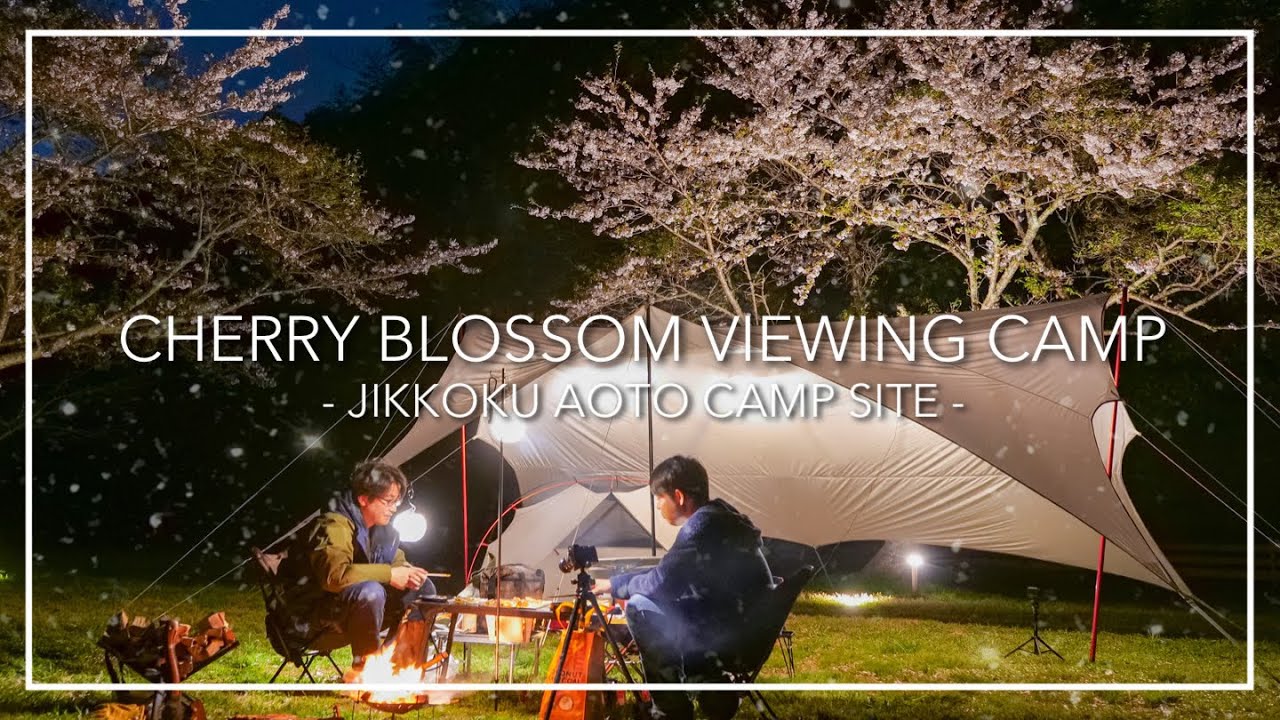 花びら舞い散るお花見・夜桜キャンプ【実谷オートキャンプ場】