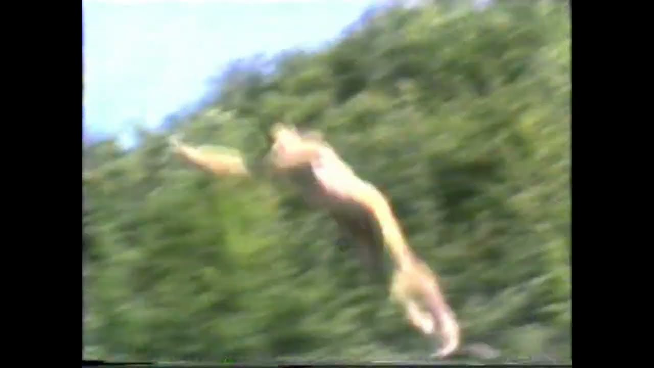 Skokovi u viru, Voljevac 1992