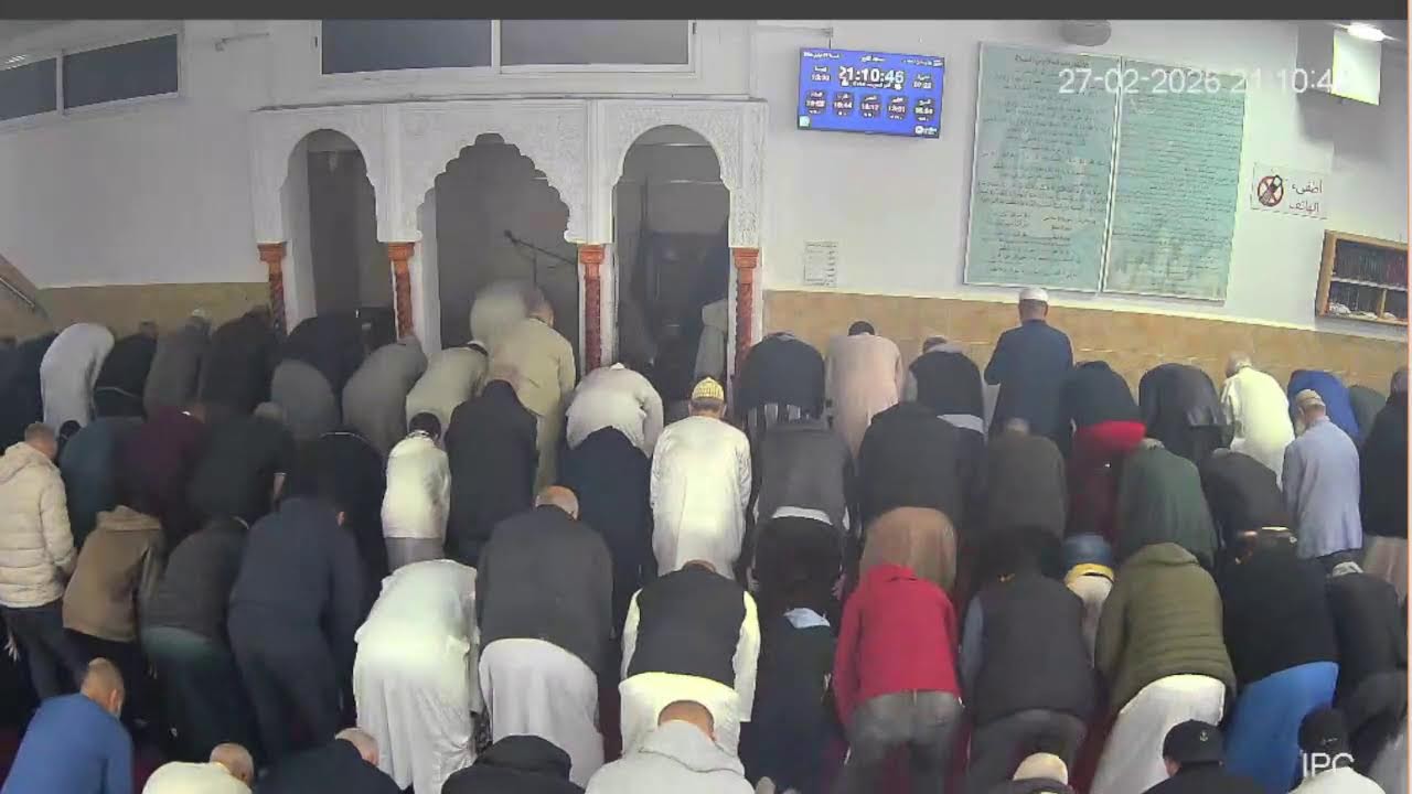 بث مباشر
