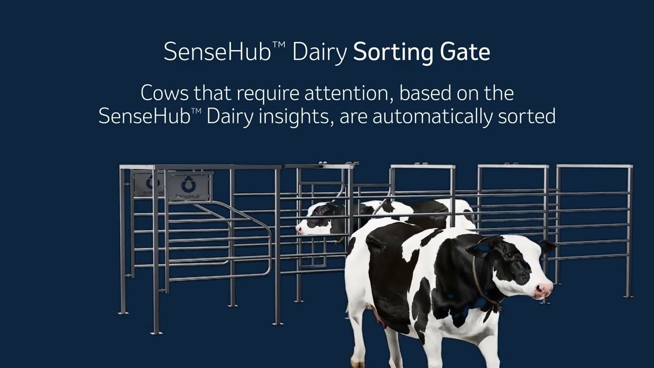 SenseHub&trade; Dairy: Automation