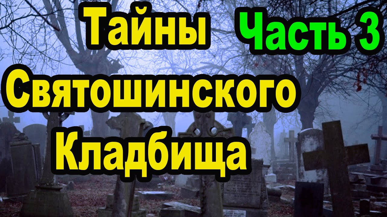 Почему Богородичный храм в честь Ксении Петербургской